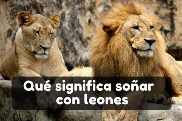 Soñar con leones | Significado de soñar con un león manso |